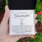 To My Beautiful Grandmother | Alluring Necklace